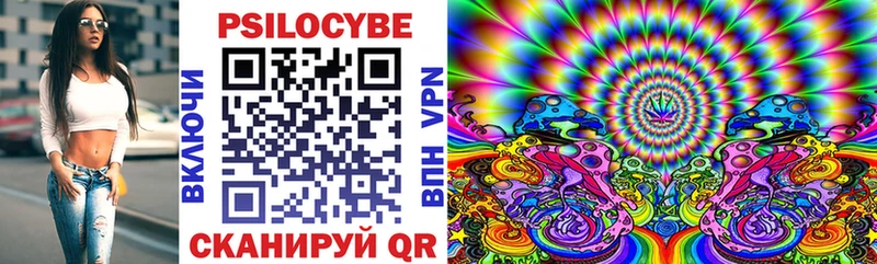 Галлюциногенные грибы Psilocybe Купить Волосово